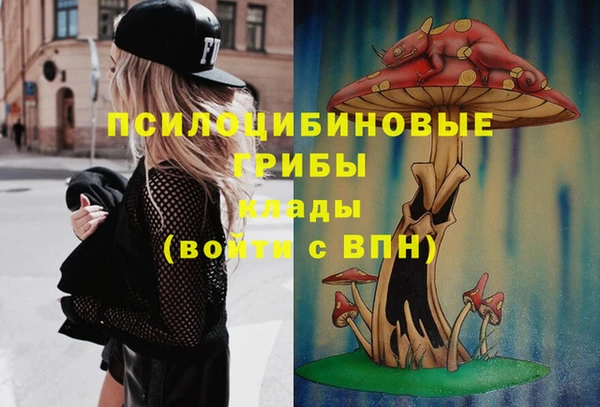 герыч Майский