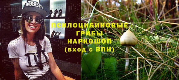 ПСИЛОЦИБИНОВЫЕ ГРИБЫ Магадан