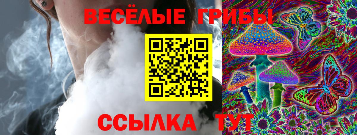 купить наркотики цена  Белая Калитва  Галлюциногенные грибы Psilocybe 