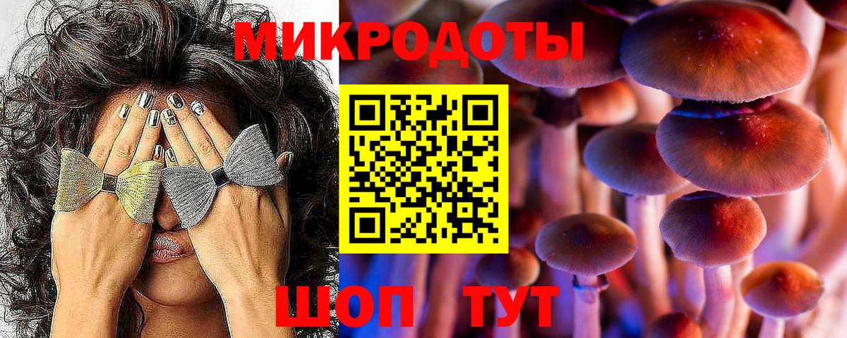 Псилоцибиновые грибы Cubensis Белая Калитва