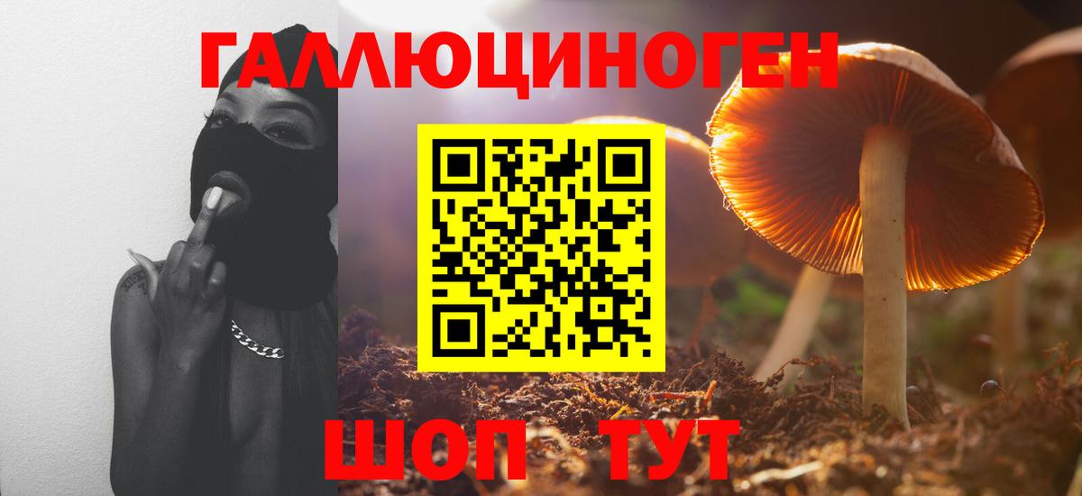 купить наркотики сайты  Галлюциногенные грибы мухоморы  Вход с VPN  Белая Калитва 